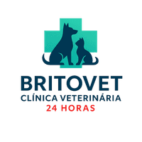 Logo BritoVet