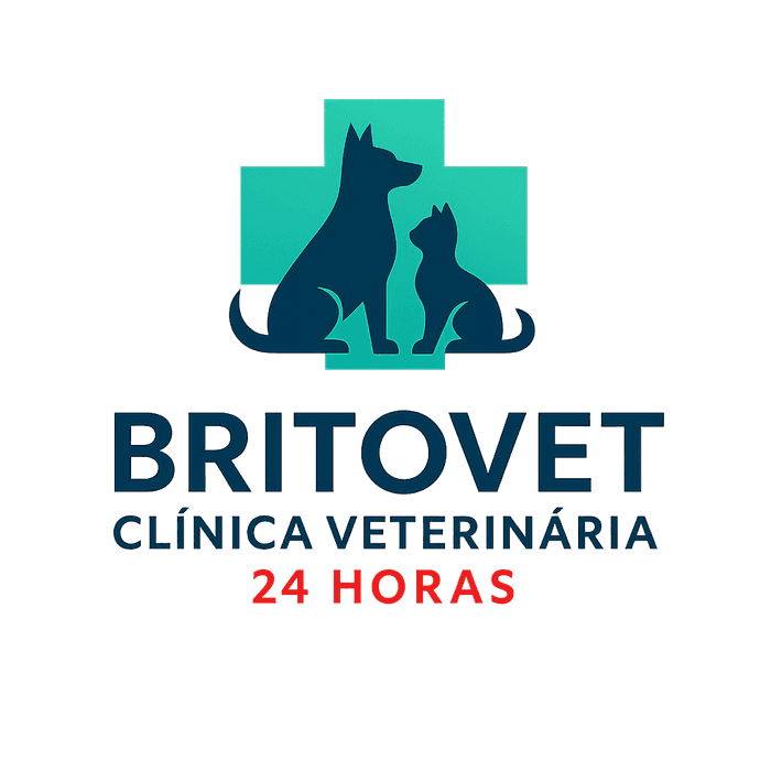 Atendimento 24H Landing Hero Logo